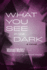 What You See in the Dark: a Novel