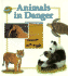 Animals in Danger (First Starts) Amos, Janine