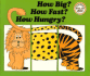 How Big How Fast How Hungry: a Book About Cats (Ready-Set-Read)