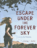 Escape Under the Forever Sky