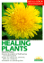 Healing Plants