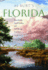 Al Burt's Florida: Snowbirds, Sand Castles, and Self-Rising Crackers