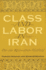 Class and Labor in Iran Did the Revolution Matter Modern Intellectual and Political History of the Middle East