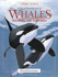 Animal Watch: a Visual Introduction to Whales, Dolphins and Porpoises