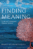 Finding Meaning Format: Paperback