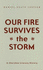 Our Fire Survives the Storm: a Cherokee Literary History (Indigenous Americas) Justice, Daniel Heath