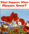 What Happens When Flowers Grow?