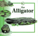The Alligator (Life Cycles)