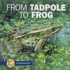 From Tadpole to Frog (Start to Finish (Lerner Hardcover))