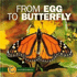 From Egg to Butterfly (Start to Finish)