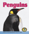 Penguins (Early Bird Nature Books)