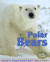 Polar Bears