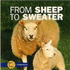 From Sheep to Sweater (Start to Finish)