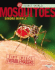 Mosquitoes: Tiny Insect Troublemakers