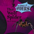 The Wolf Spider