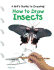 How to Draw Insects