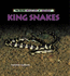 King Snakes