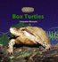 Box Turtles