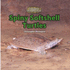 Spiny Softshell Turtles