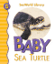 Baby Sea Turtle San Diego Zoo (Seaworld Library)