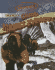Using Math to Climb Mount Everest