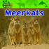 Meerkats (Amazing Animals)