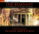 The Remnant: on the Brink of Armageddon (Left Behind)