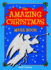 The Amazing Christmas Maze Book