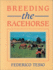 Breeding the Racehorse