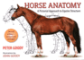 Horse Anatomy: a Pictorial Approach to Equine Structure