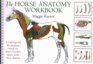 Horse Anatomy Workbook: a Learning Aid for Students Based on Peter Goody's Classic Work, Horse Anatomy