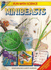 Minibeasts (Fun With Science)