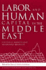 Labor and Human Capital in the Middle East: Studies of Markets and Household Behavior Salehi-Ishfahani, Djavad