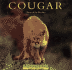 Cougar: Ghost of the Rockies