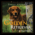 The Golden Retriever: All That Glitters