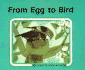 From Egg to Bird (Start to Finish Book) (English and German Edition)