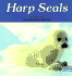 Harp Seals (a Carolrhoda Nature Watch Book)