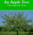 An Apple Tree Through the Year