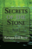 Secrets of the Stone (Firestorm Chronicles)