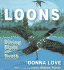 Loons: Diving Birds of the North