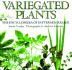 Variegated Plants: the Encyclopedia of Patterned Foliage