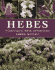 Hebes: a Guide to Species, Hybrids, and Allied Genera