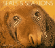 Seals and Sea Lions (Worldlife Library)