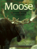 Moose: Behavior, Ecology, Conservation