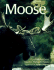 Moose: Behavior, Ecology, Conservation