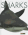 Sharks