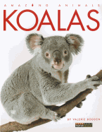 Amazing Animals: Koalas