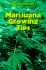 Ed Rosenthal's Marijuana Growing Tips