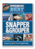 Snapper & Grouper [With Dvd]