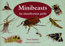 Minibeasts: an Identification Guide